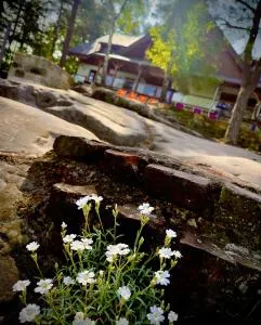 Penzion Na Stráži - Rodowitz