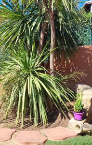 Domu Abba&Chelu img24