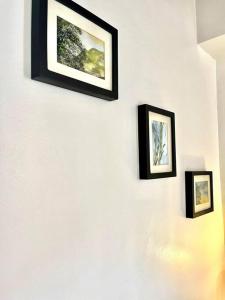 Private Studio-Apartment in Cedritos