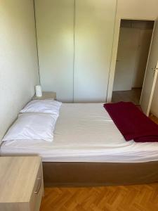 Appartements Appartement moderne a Frejus, 60 m², piscine partagee : photos des chambres