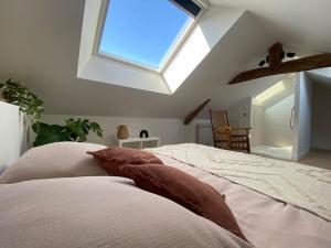 Appartements Duplex cinema - centre historique Tours : photos des chambres