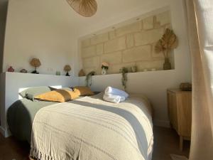 Appartements Duplex cinema - centre historique Tours : photos des chambres