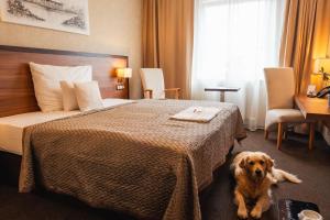 premium business hotel bratislava
