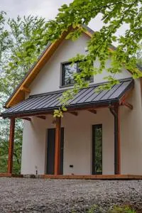 Sekret Bukowego Gaju - Zachełmie