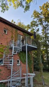 Pferdeblick - Dannenberg