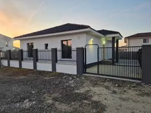 Adelina House - Topolovăţu Mare