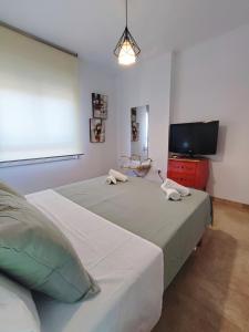 Agarimo Homes - Aroca