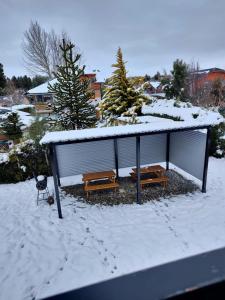 Sol de montaña, Bariloche.