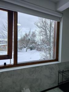 Sol de montaña, Bariloche.