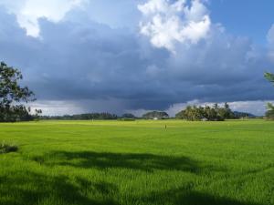 Travellers Home Hotel