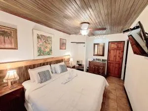 Colours Oasis Resort ADULT ONLY - Escazú