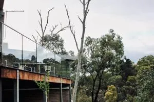 Architectural Crisp & convenient location - Briar Hill