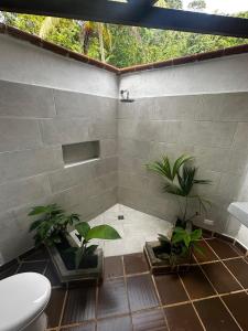 Pacific Waves Hostel & Surf