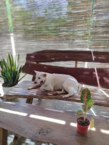 Firefly Treehouse Cafe and Bar