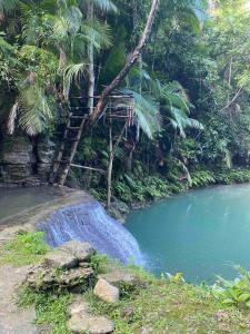 Firefly Treehouse Cafe and Bar