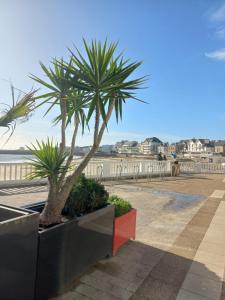 Studio du départ pour les îles Quiberon