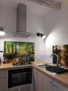 Appartements Logement entier 3 pieces et terrasse : photos des chambres