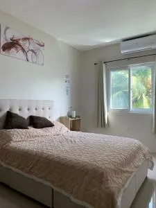 Zagill Moalboal - 莫阿尔博阿