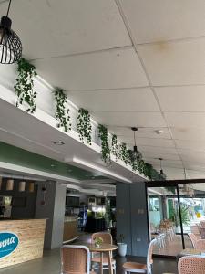 Cebu Century Plaza Hotel