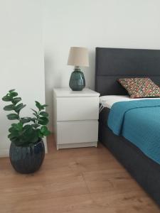 Apartament CENTRUMSTARÓWKA Gdańsk