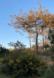 Villas Villa La Cantina, piscine : photos des chambres