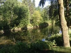 Nature in the middle of the city - Cap-Rouge