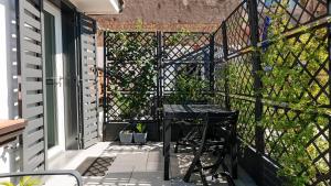 Botanic Apartments - Suite