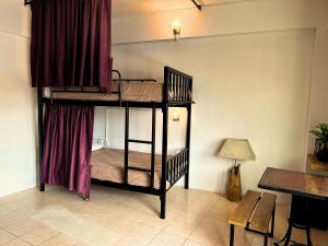 The Cabin Backpackers Hostel & Bar