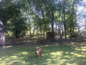 Villas Villa 180m2 proche Lac Hourtin : photos des chambres