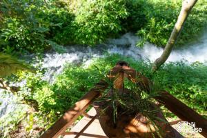 Thai House Pu Luong - Century Old Stilt House with Terrace Views