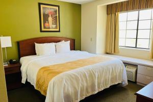 King Suite with Sofa Bed - Smoking room in Quality Inn & Suites