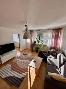 Boende i centrum av Jakobstad - Gädda