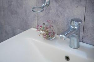 Starfall Sky Apartment