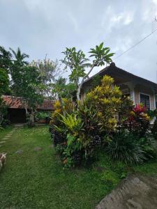 Jero Pinge Homestay