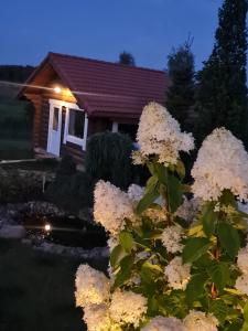 Pavasario Namai & SPA