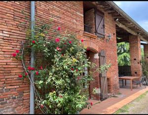 Maisons de vacances Bienvenue a la ferme : photos des chambres