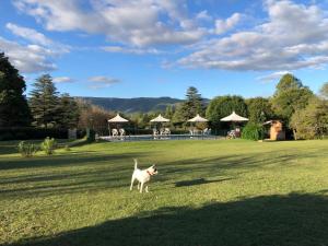 Cabañas Calicanto