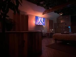Appartements jacuzzi exotique cinema : Appartement 1 Chambre