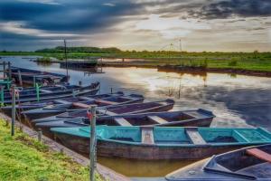 Maisons de vacances MysavinaHouse : photos des chambres