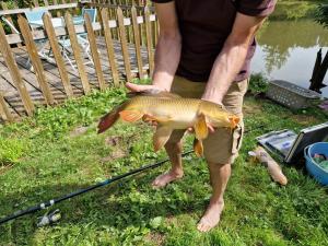 Gite Les Temps Calmes