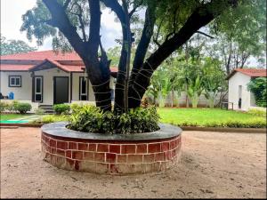 Cosy villa staycation near Hyderabad