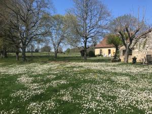 Maisons de vacances Bergerie with large swimming pool : photos des chambres