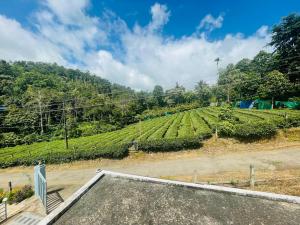 The Falls at Mangal Caverns