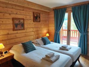 Chalet 3 chambres avec spa et piscine, pied des pistes - FR-1-461-25