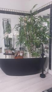 Maisons d'hotes O 3 parasols : photos des chambres