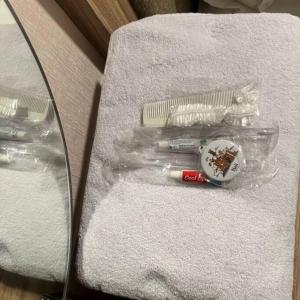 Bali Style Room by Acewin Inn near Chinatown