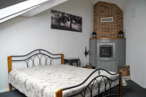 Apartamentai Birštono centre su židiniu