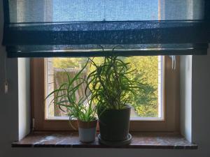 Nice flat near Brussels