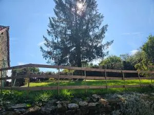 L'epicéa - Jours-en-Vaux