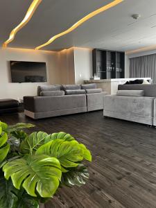 Baruk Guadalajara Hotel de Autor